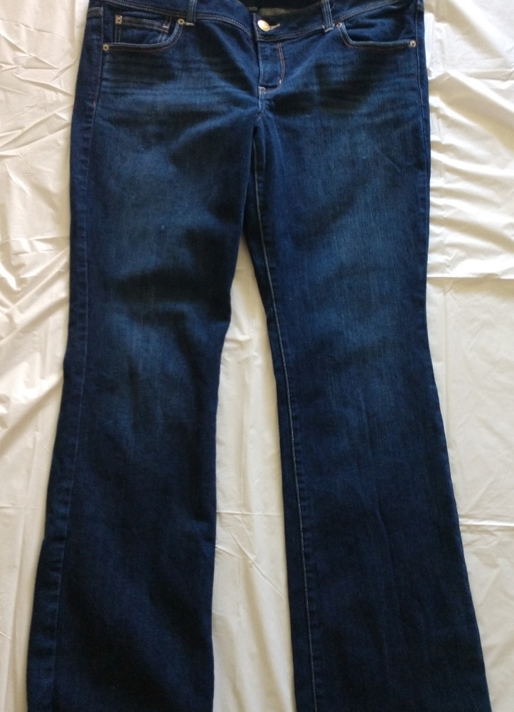 American Eagle Plus Size Jeans